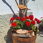 Pr' Hribar Habitación en casa particular