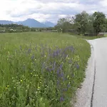 Kwatera prywatna Pr' Hribar Zgornje Gorje
