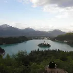 Pr' Hribar Ostanak kod kuće *