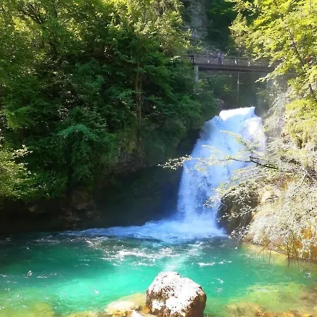 Pr' Hribar Rum i privatbostad Zgornje Gorje