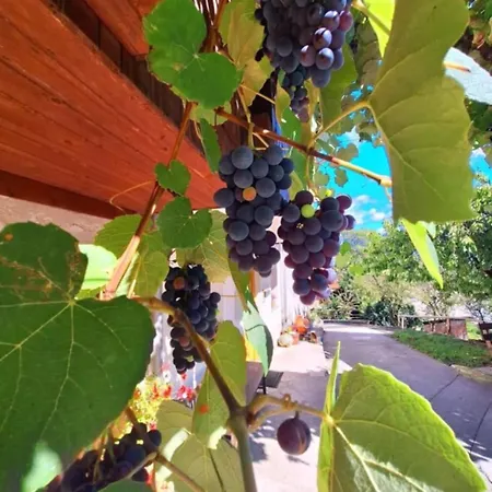 Pr' Hribar * Zgornje Gorje