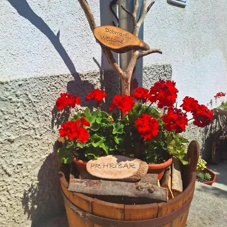 Pr' Hribar Habitación en casa particular