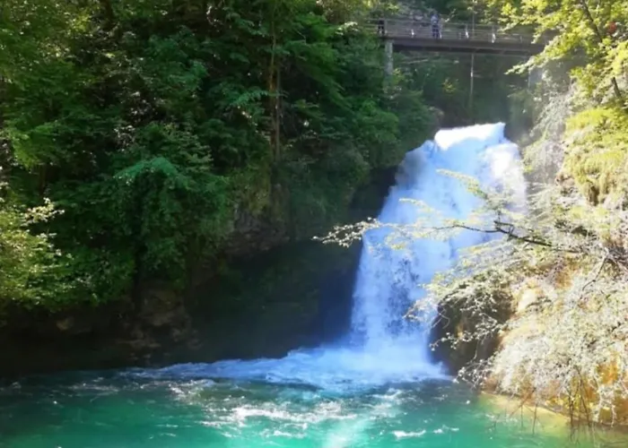 Pr' Hribar Nastanitev v družini Zgornje Gorje