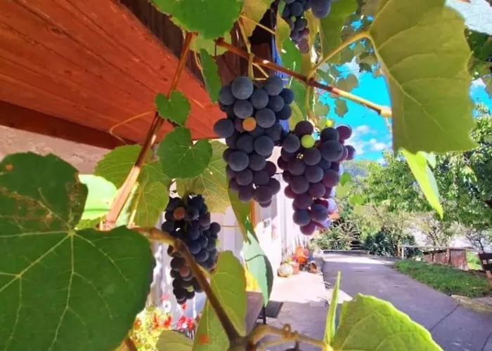 Pr' Hribar * Zgornje Gorje