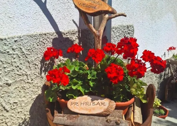 Pr' Hribar Homestay