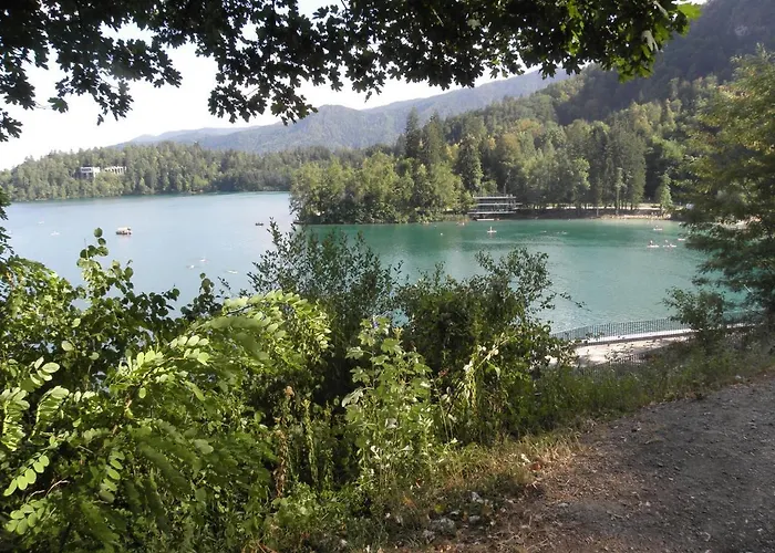 Pr' Hribar Nastanitev v družini *